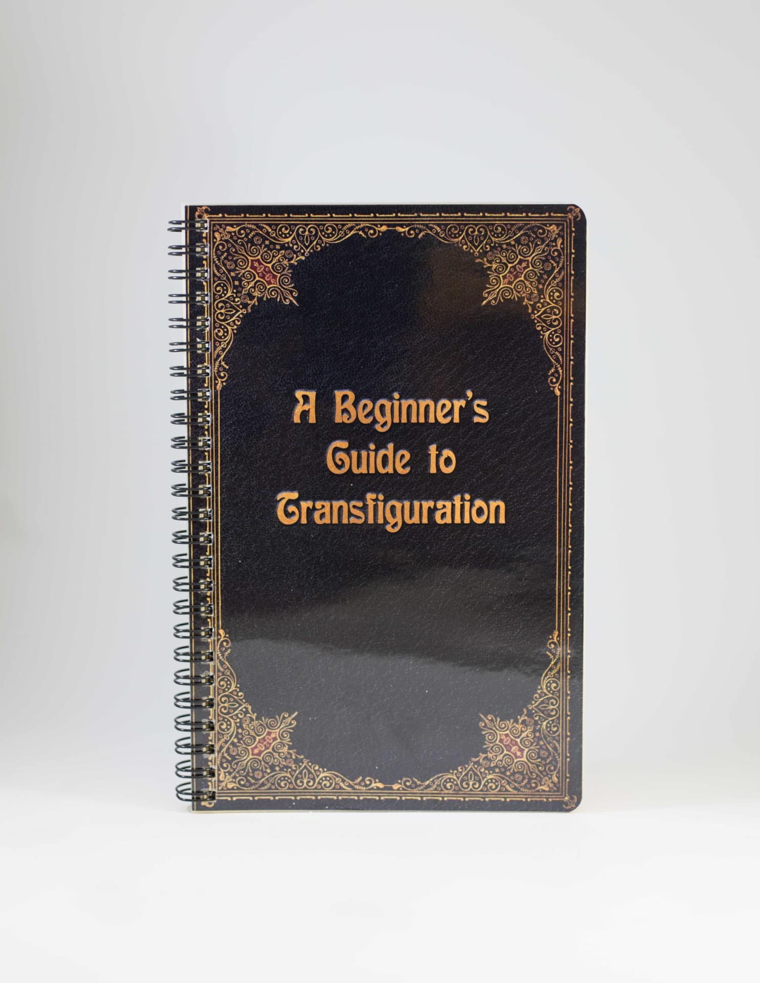 Transfigured Book A beginner's Guide To Transfiguration | Smartech